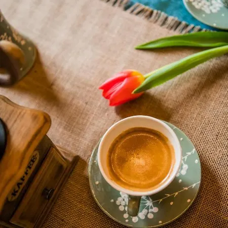 Guest & Peychin / & студио пейчин